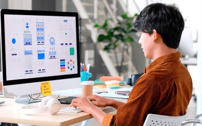 Principios del diseño multimedia para el cuidado del participante e-learning